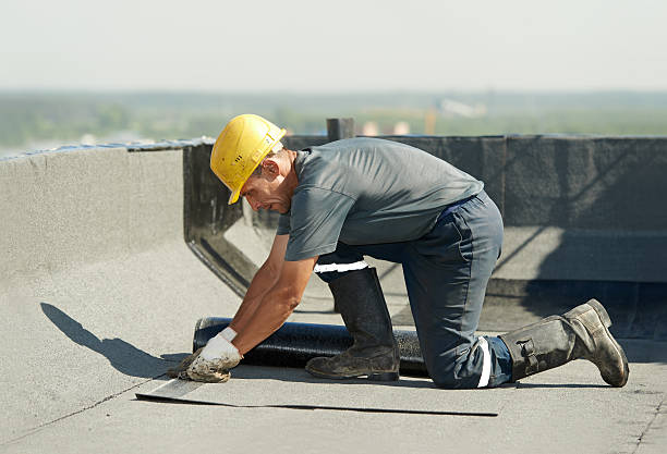 Best Residential Insulation in Rio Pinar, FL