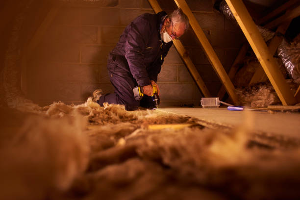 Best Insulation Maintenance and Repair in Rio Pinar, FL